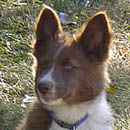 Evan was adopted in October, 2004